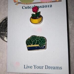 2 Piece Pin Brooch Mini Plants Cactus